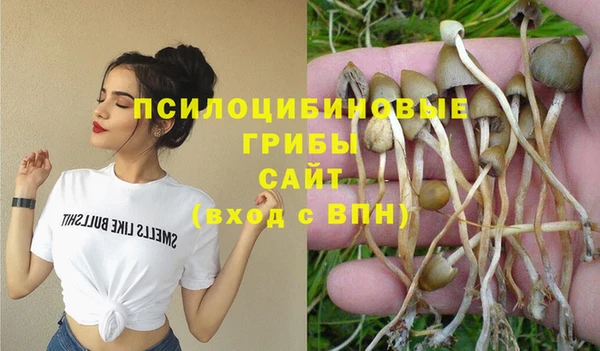 мет Аркадак