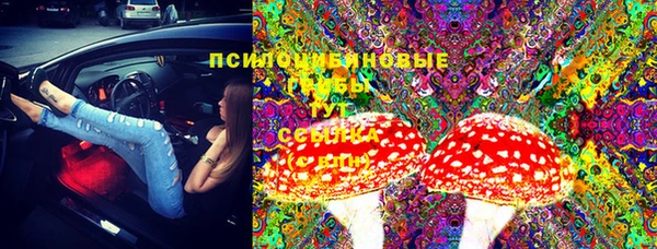 мет Аркадак