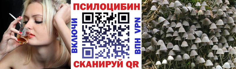 Купить  Нефтегорск  Псилоцибиновые грибы GOLDEN TEACHER 